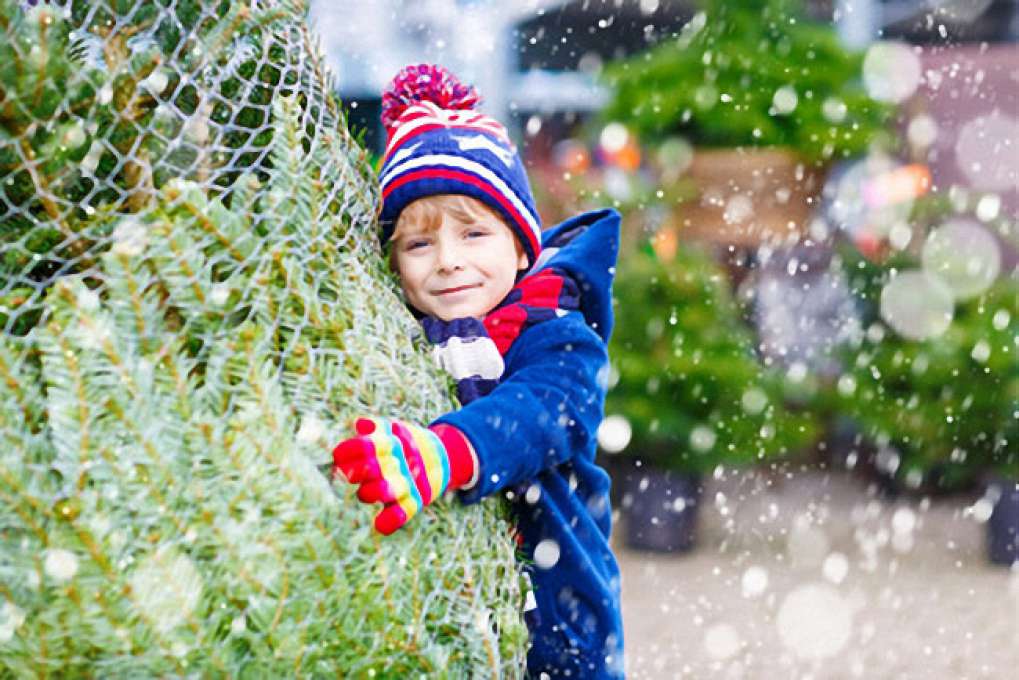 Weihnachtsbaumkauf als Familienerlebnis