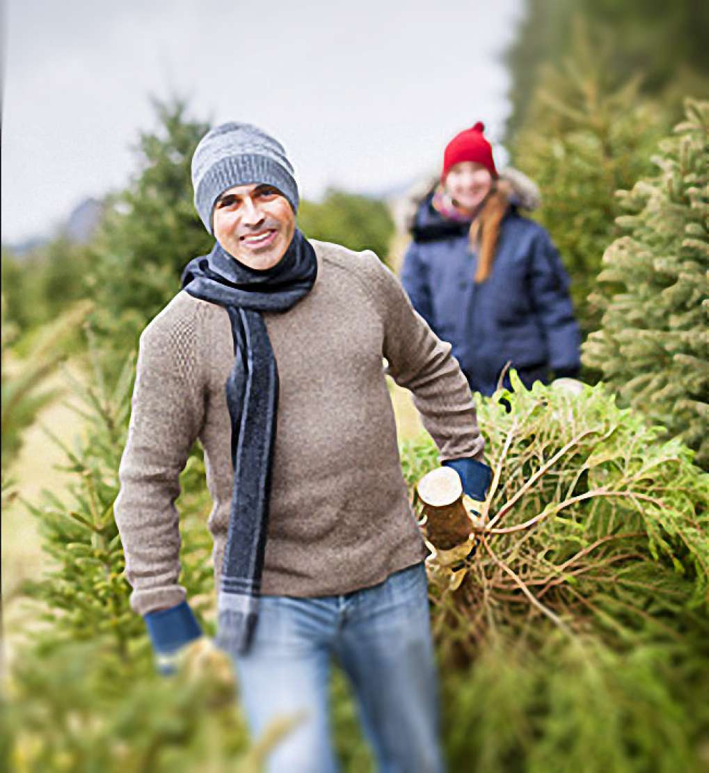 Unsere Tipps - Weihnachtsbaum sägen