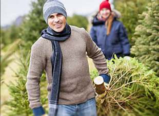 Unsere Tipps - Weihnachtsbaum sägen